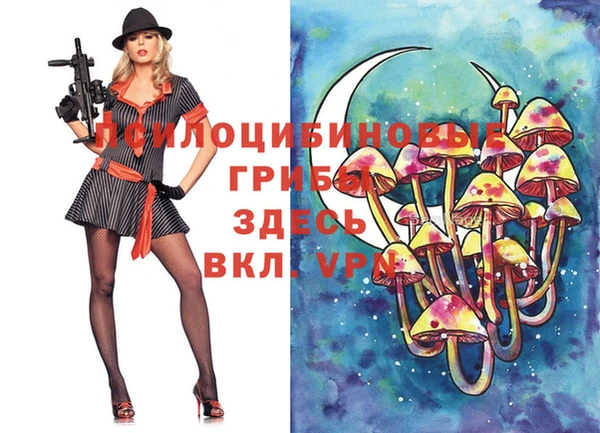 ешки Лабытнанги